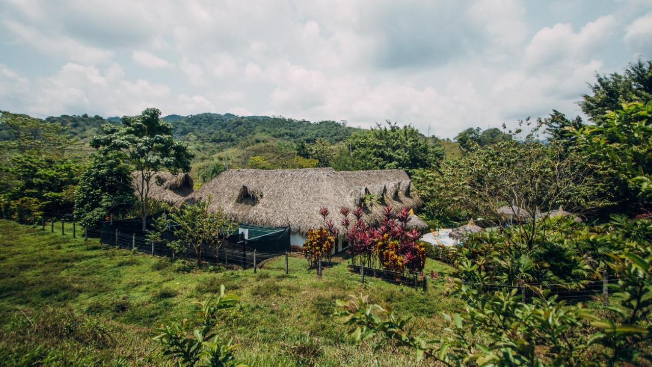 Makenke By Colores Ecoparque Hotel